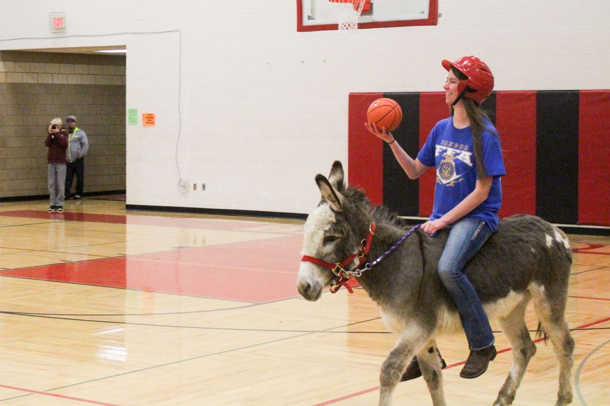 Donkey basketball big success for Bangor FFA Local