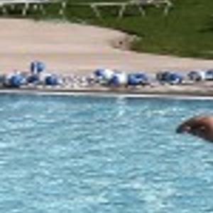 Log Rollers Ready To Compete This Weekend Local News Lacrossetribune Com Yutuc principal i juanito l. la crosse tribune