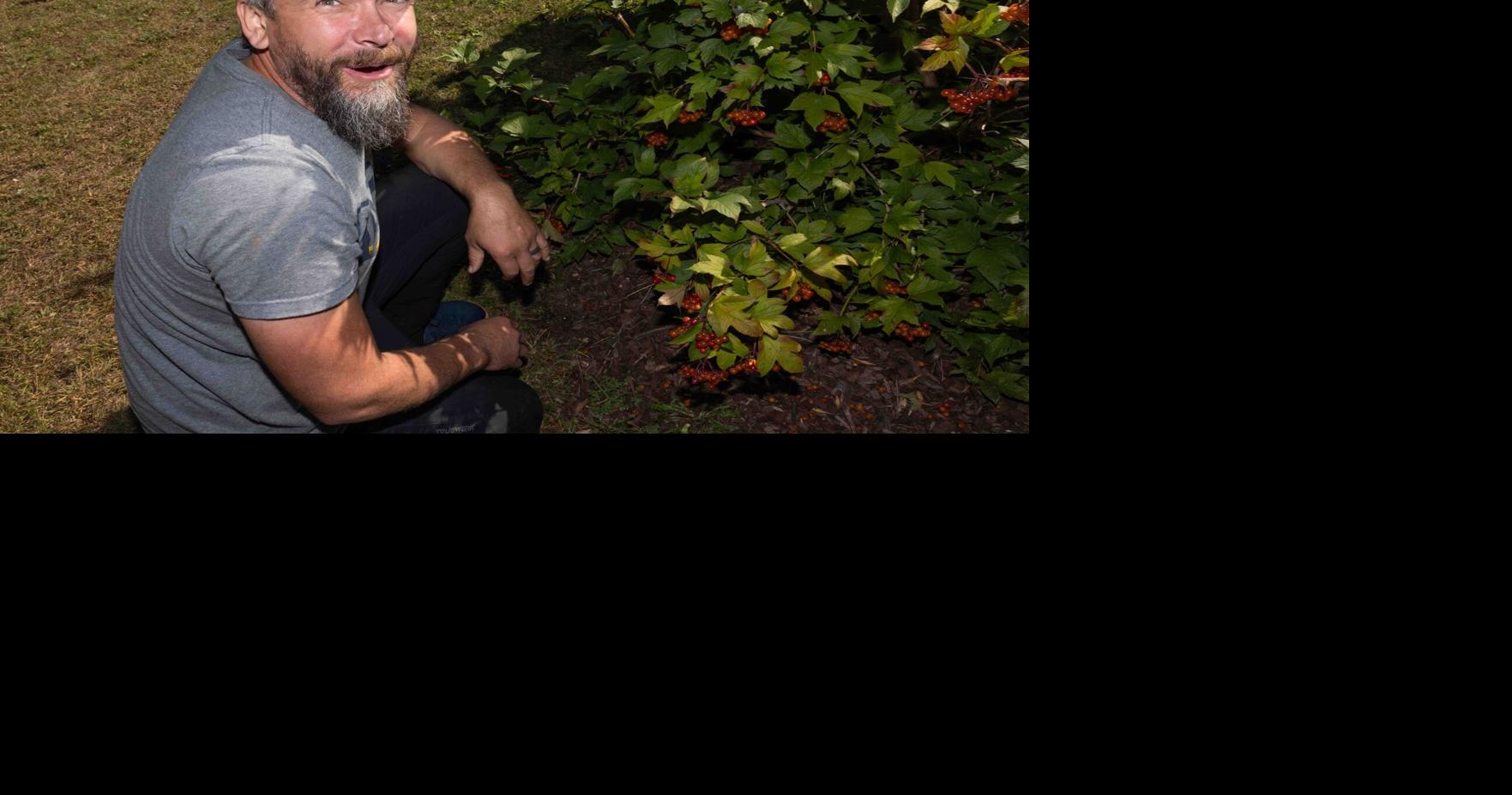 Longtime medallion hunters find the coin for the second time in 13 years