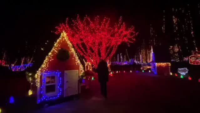 rotary botanical gardens holiday light show - janesville