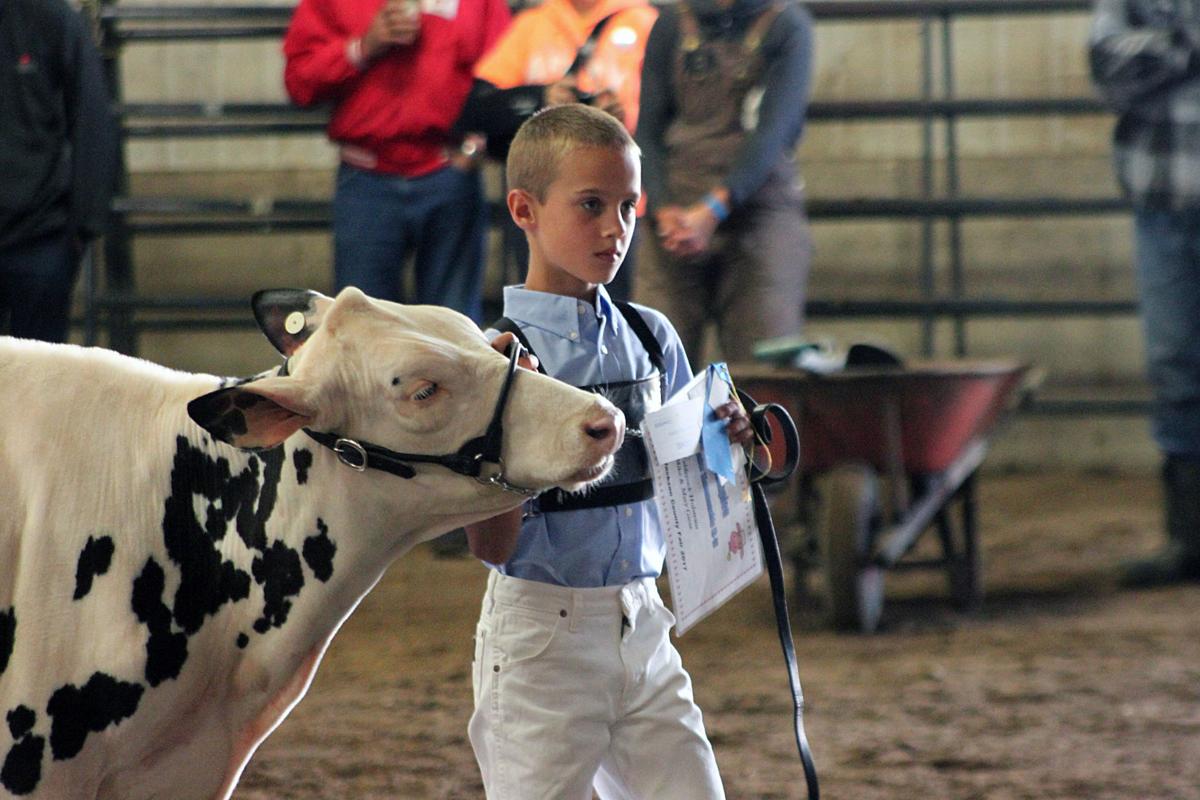 Scenes from the 2017 Jackson County Fair