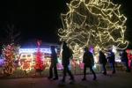 Rotary Lights opens