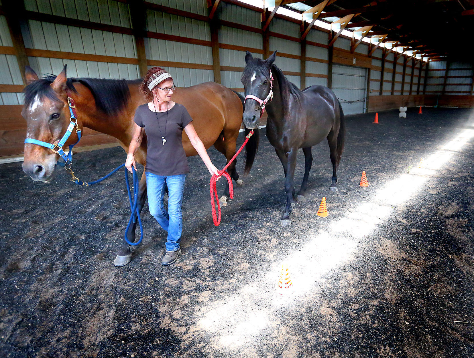 flying horse stable