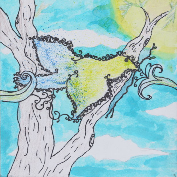 Elise Howard, SOTA II, seventh grade: Compassion Project