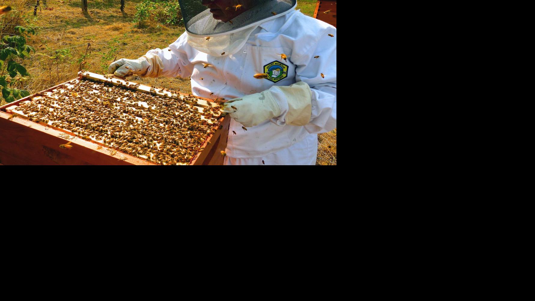 Ridge And Valley Beekeepers Club Meets Feb 2 News