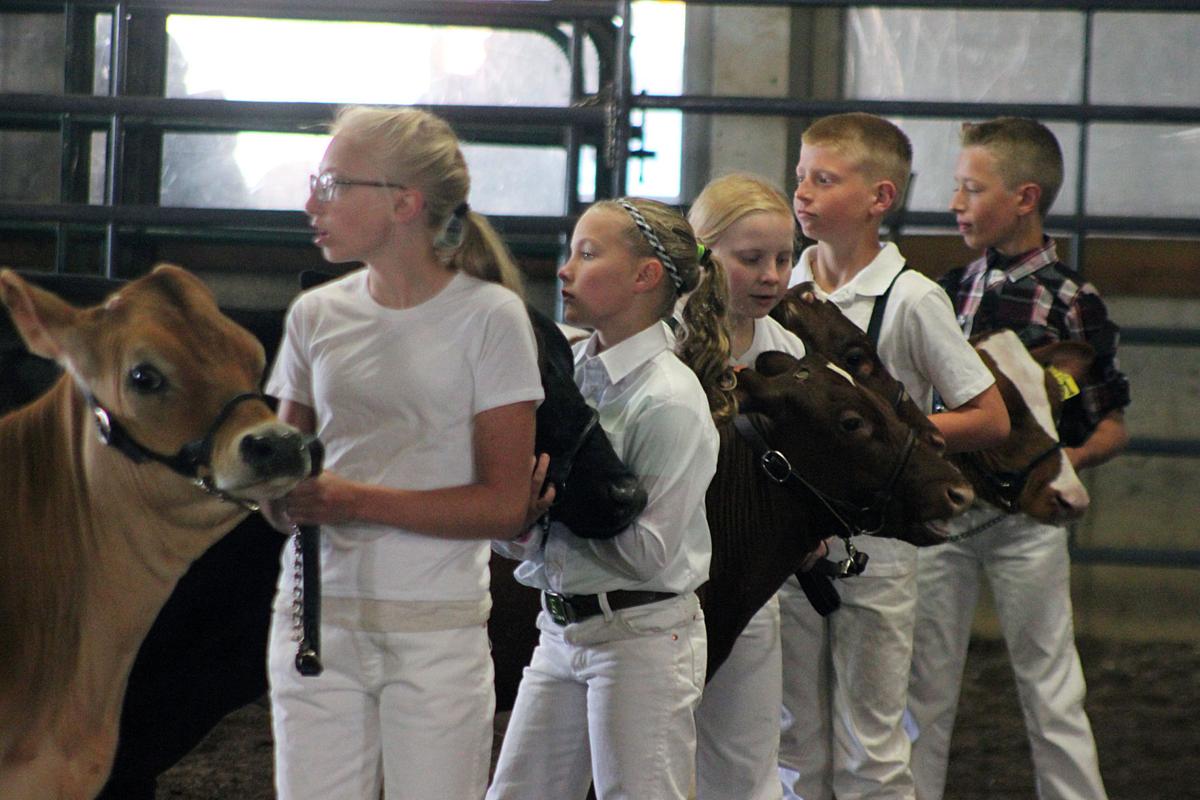 Scenes from the 2017 Jackson County Fair