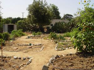 Yardsmart: How to start your first garden (while saving money)