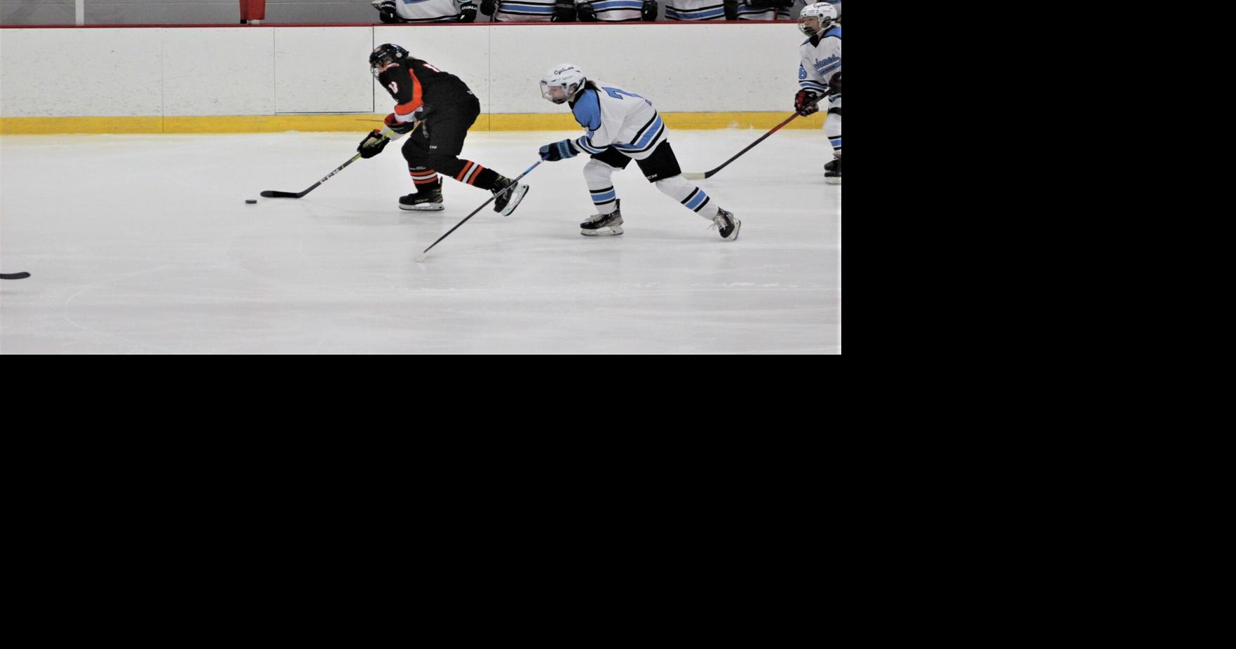 Local sports roundup Winona girls hockey wins first playoff game in