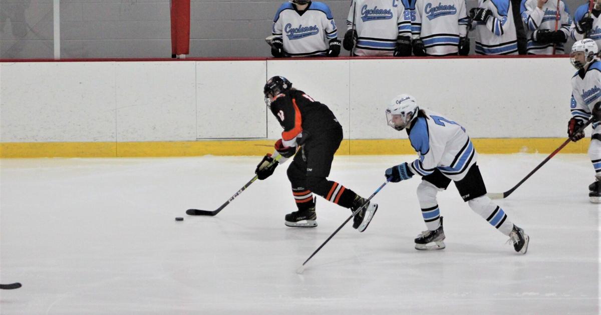Local sports roundup Winona girls hockey wins first playoff game in