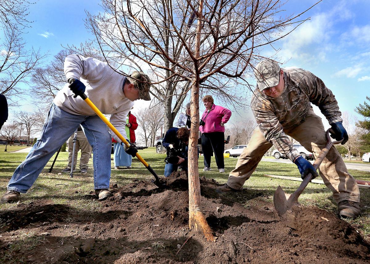Kindergarteners plant trees for Arbor Day in Myrick Park
