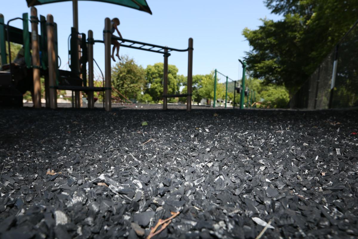 Cats in police uniforms - Playground