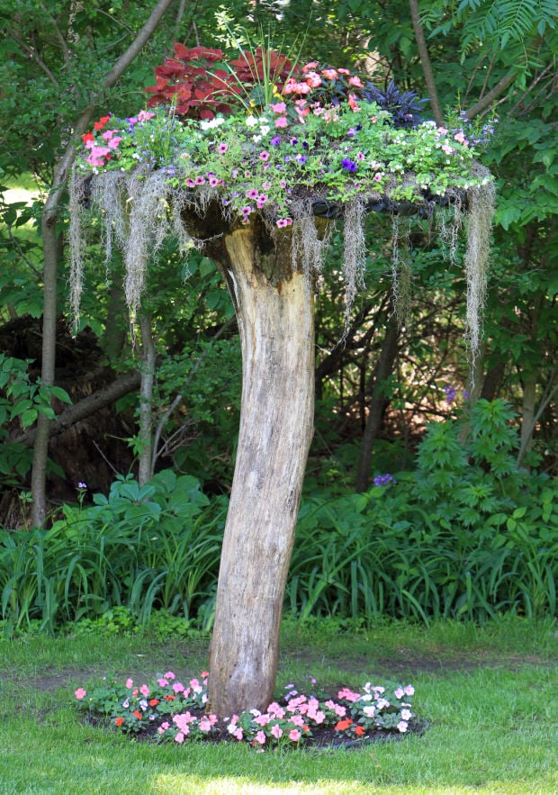 Motorcycles For Sale Chicago >> Upside-down trees turning heads on French Island Motorcycles For Sale Chicago >> Upside-down trees turning heads on French Island