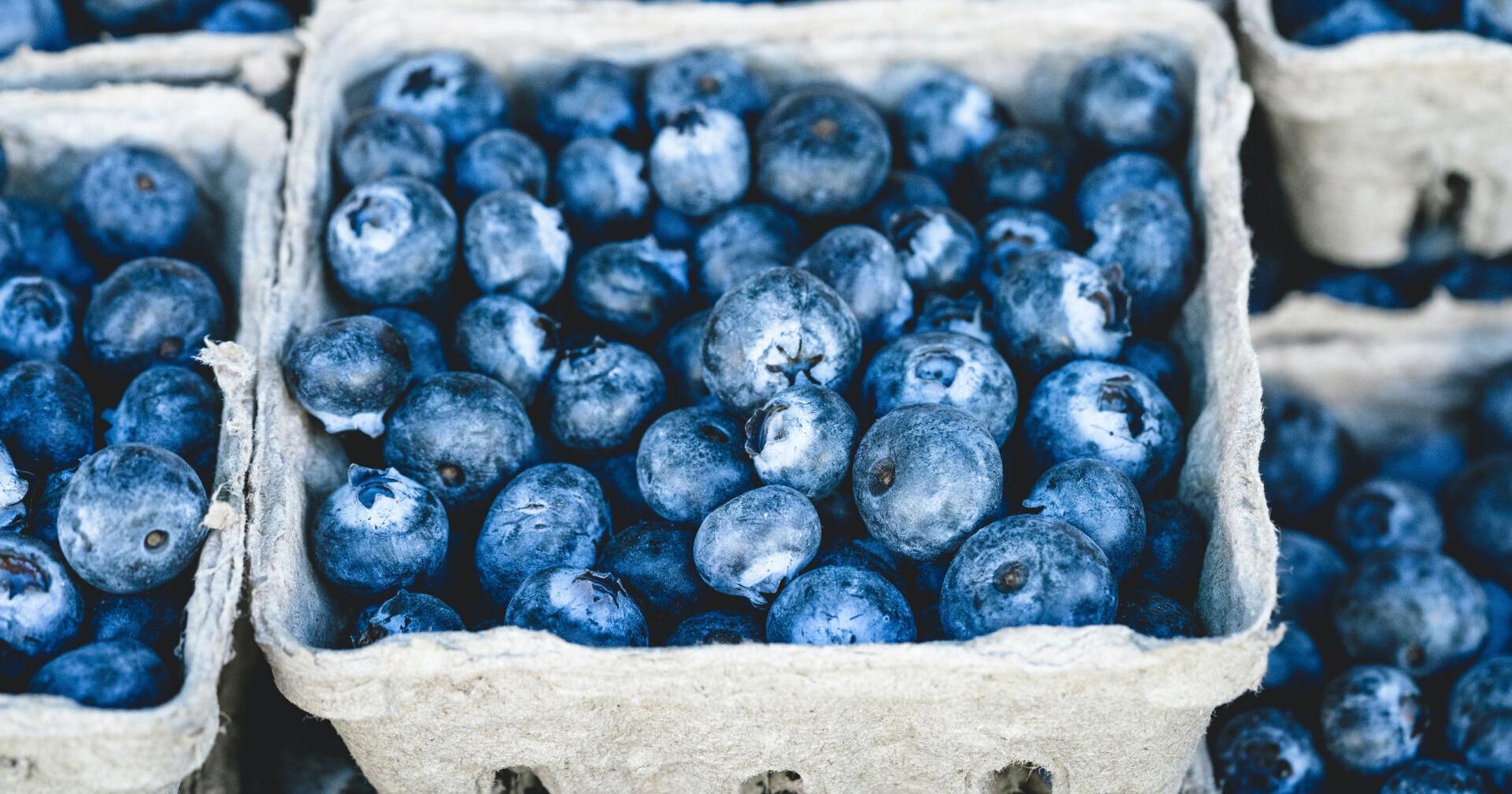 Garden calendar | For the week of March 31 - Vimarsana News