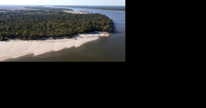 Why are the Mississippi River's floodplain forests dying? - Vimarsana News