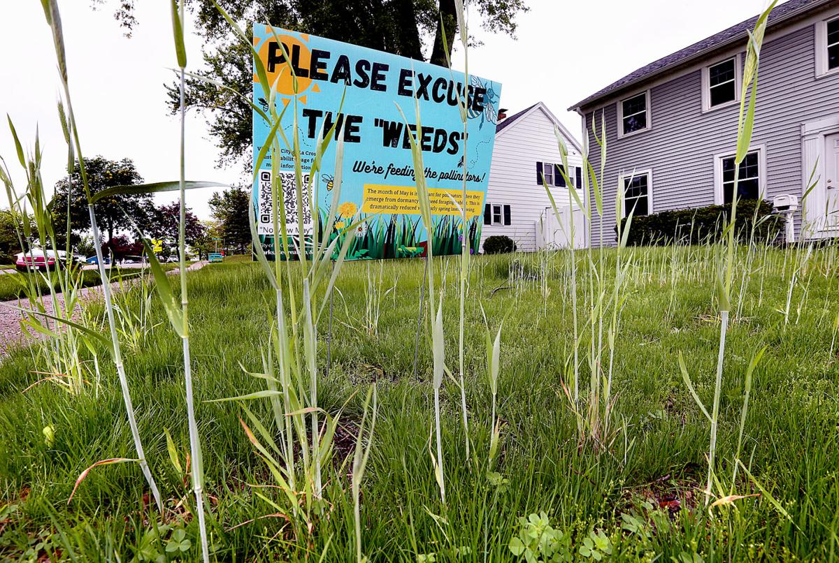 La Crosse residents, city parks say yes way to No Mow May