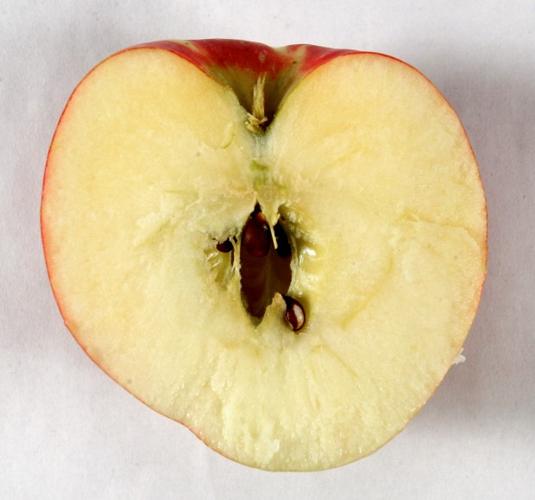 Organic Minneiska SweeTango Apple at Whole Foods Market
