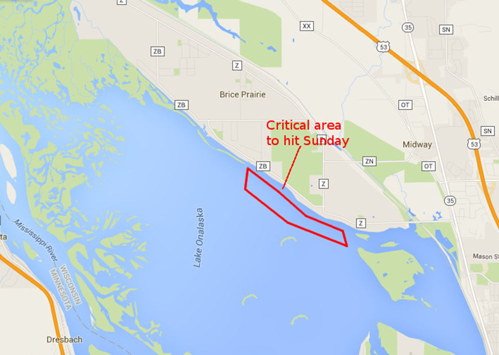 Water lettuce found on Lake Onalaska; volunteers sought for Sunday