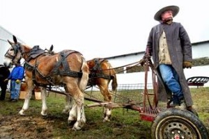 tri state horse and mule sale