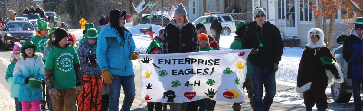 Fine 4-H'er's
