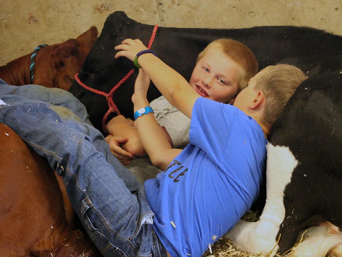 Scenes from the 2017 Jackson County Fair
