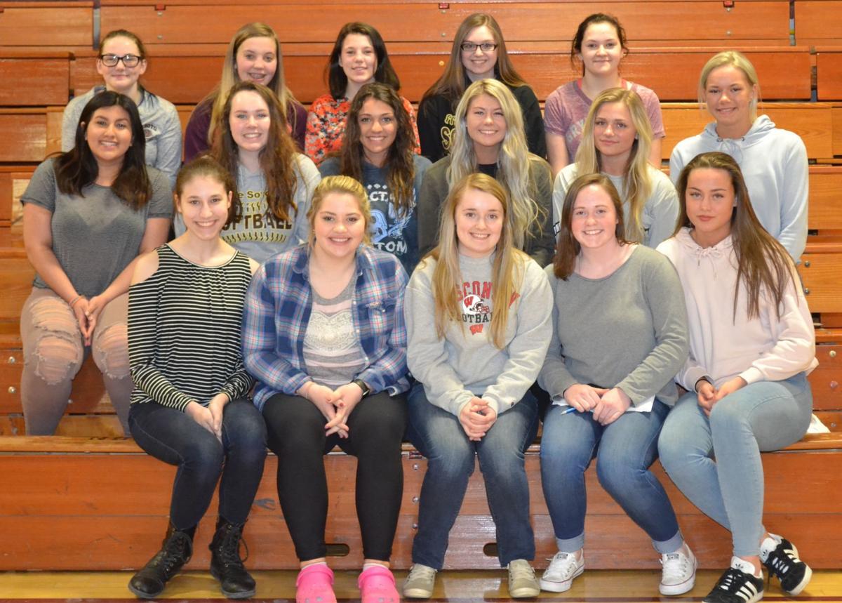 Spring sports preview De Soto softball strong leadership