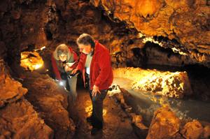 Bat ecology cave tours offered in Crawford County