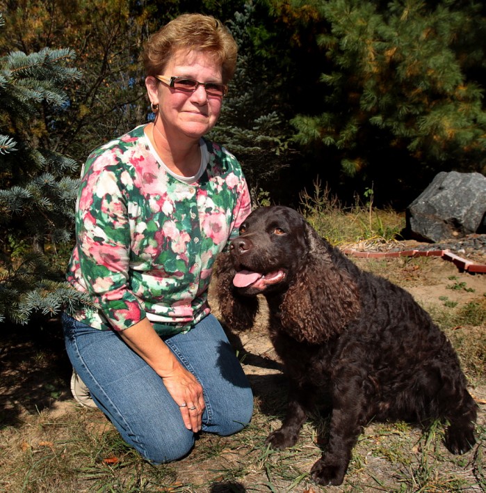 american water spaniel cost