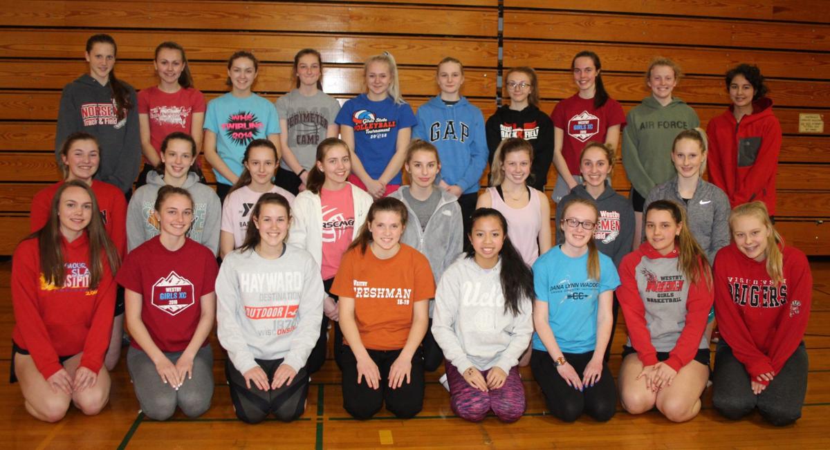 Spring sports preview: Westby track has experienced athletes | Sports