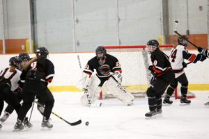 High school hockey: Viroqua players get chance to play abroad