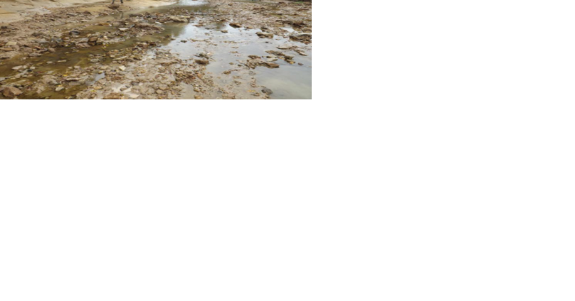 Vernon County to vote on decommissioning watershed dams - Vimarsana News