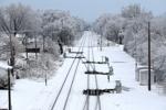 Picture perfect snow