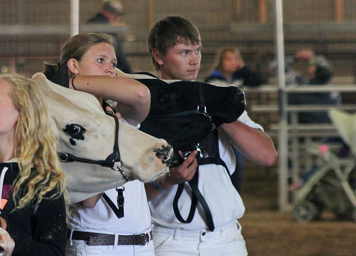 Scenes from the 2017 Jackson County Fair
