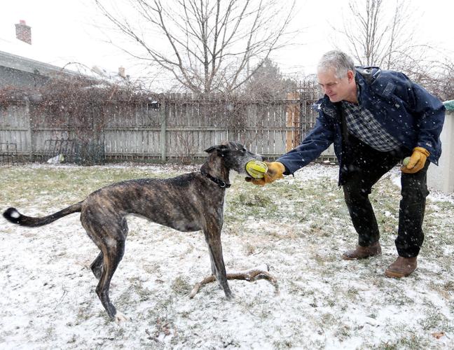 Downtown Houston Pet Owners Benefit from New Dog Park