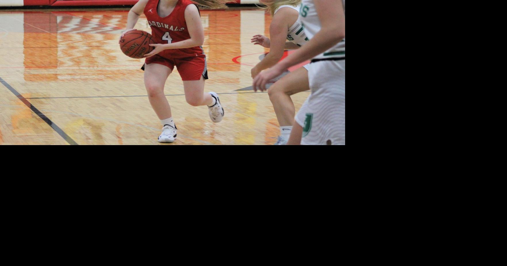 High school basketball LewistonAltura girls handle La CrescentHokah