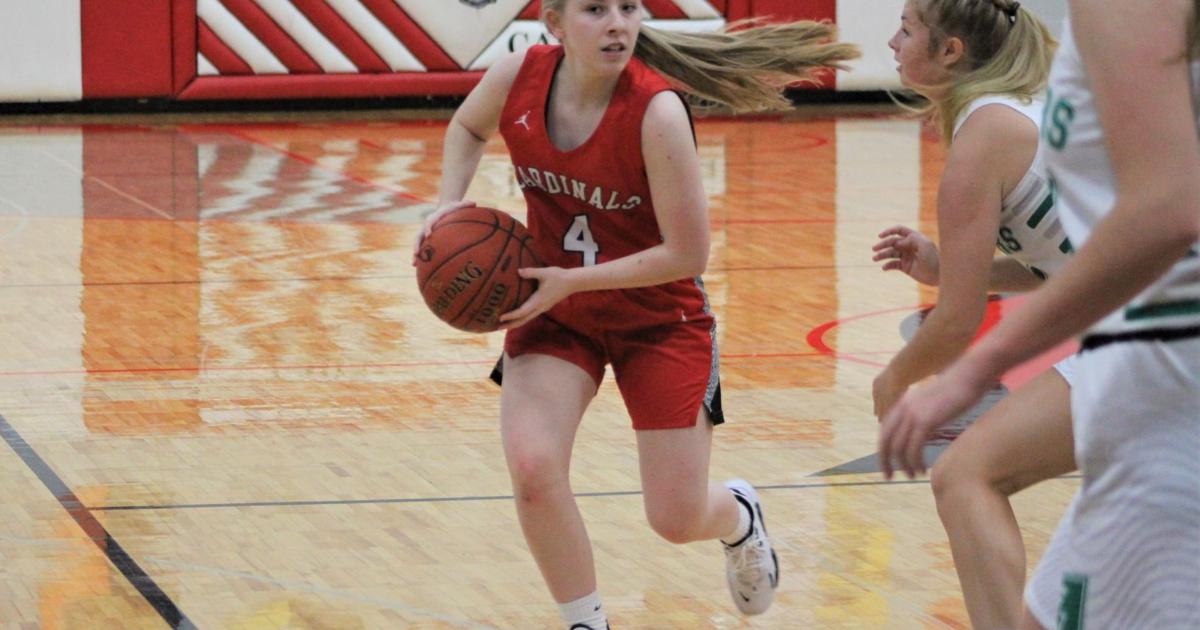 High school basketball LewistonAltura girls handle La CrescentHokah