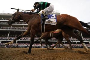 How To Bet On Horse Racing: 2024 Preakness Stakes Preview & Betting Guide