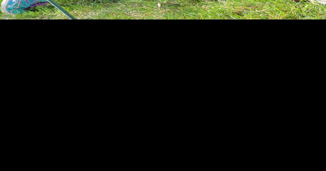 Lending Helping Hands