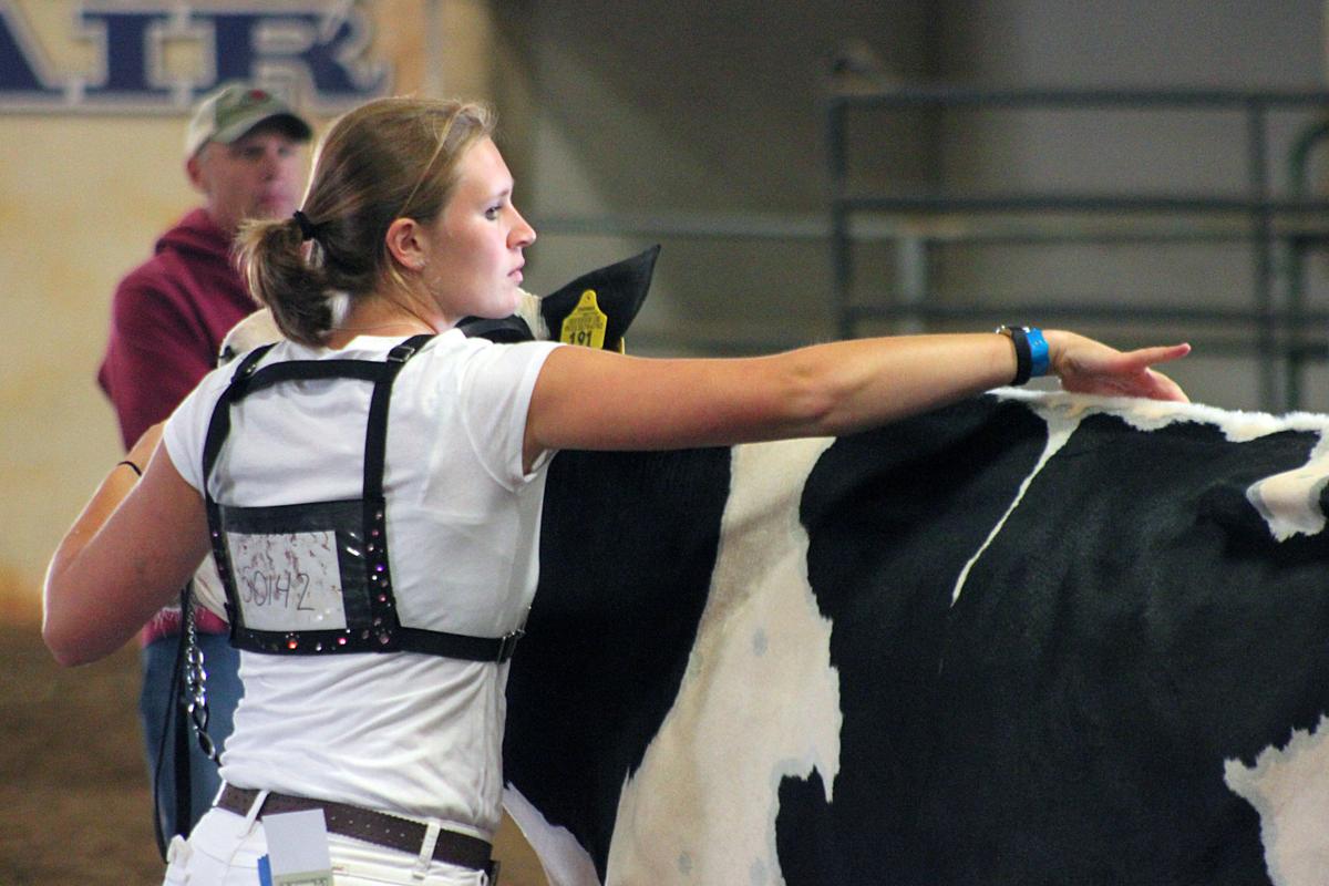 Scenes from the 2017 Jackson County Fair