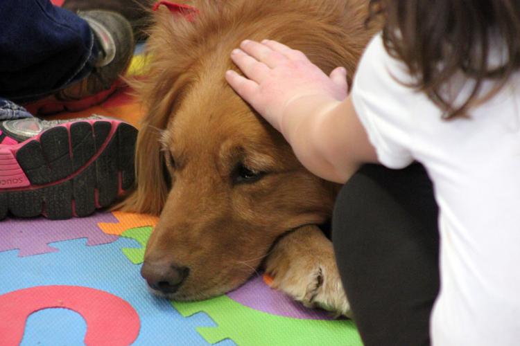 MelroseMindoro uses therapy dogs in the classroom