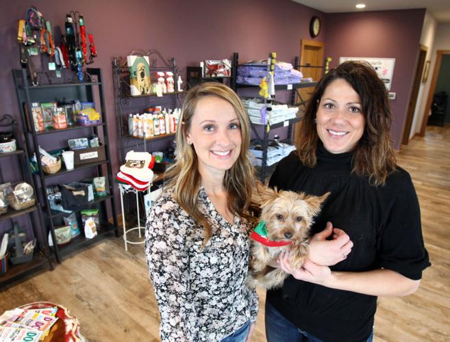 Mansfield Family Dental - Moved To New Location Marcie’s Pet Spa expands with move to new location