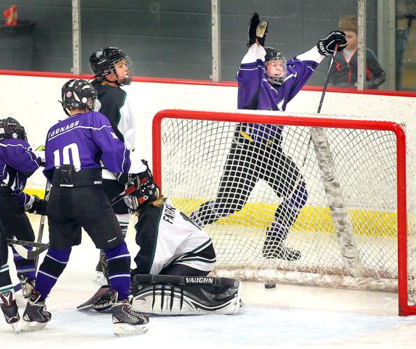 Tornado youth hockey team brings PeeWee state title home to Onalaska