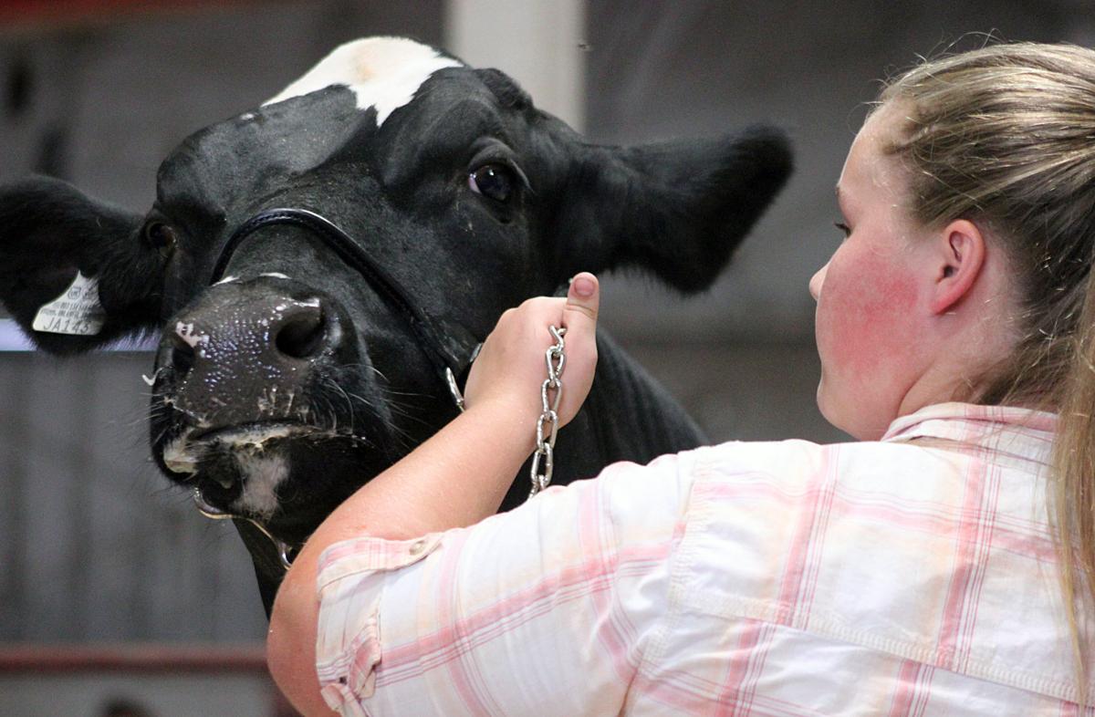 Scenes from the 2017 Jackson County Fair