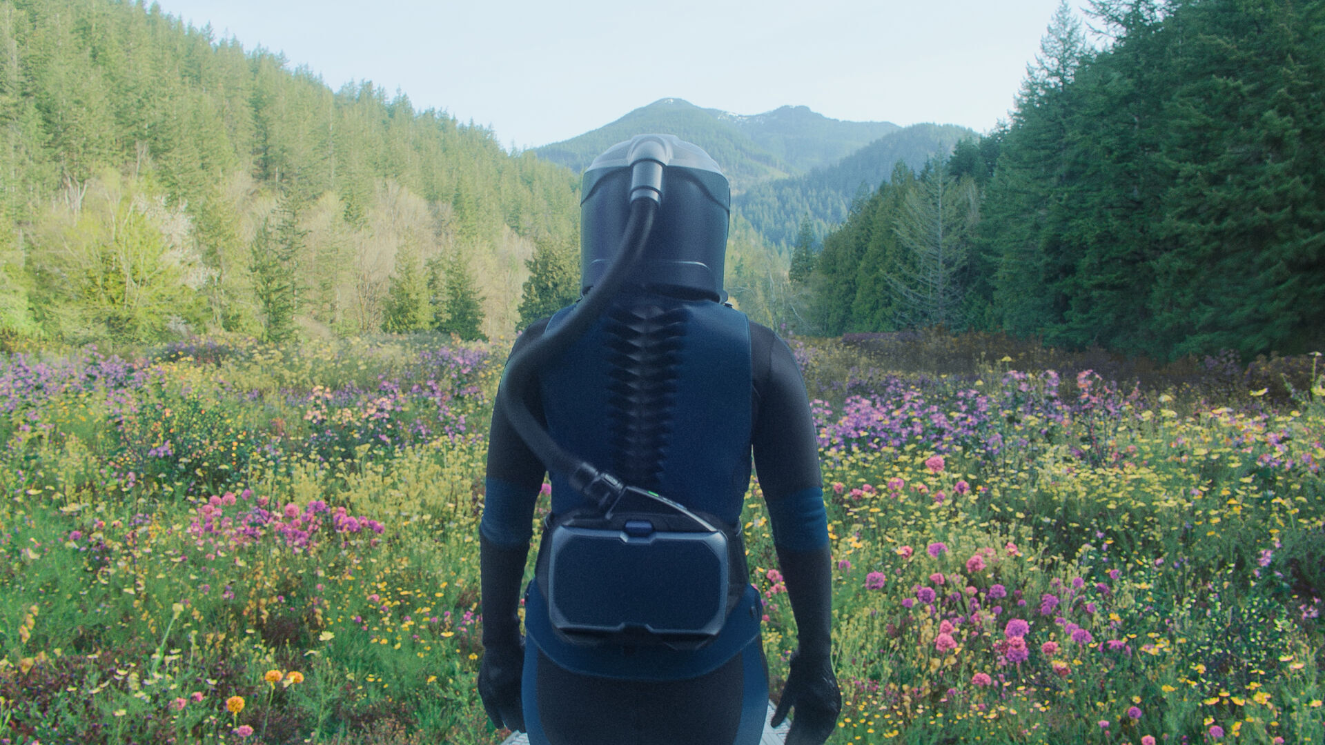 What's new this week in television, films, music and games