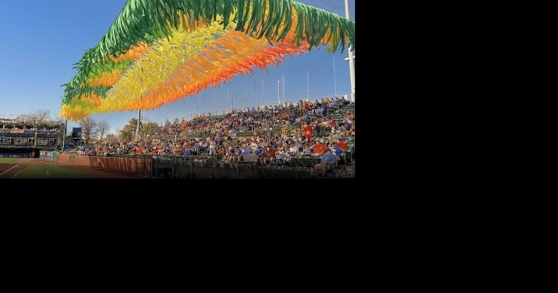 Mallards owners pitch colorful awning above Warner Park grandstands