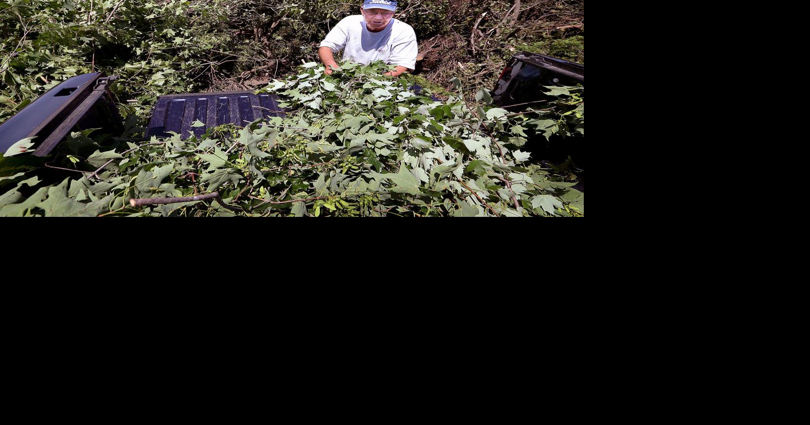 La Crosse County landfill looks to hike wood waste charges