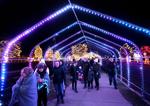 Rotary Lights opens