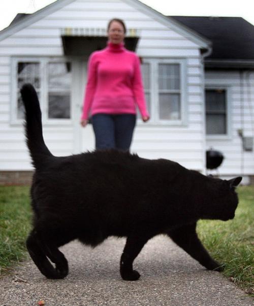 Superstitious Dreaded Symbols Often Part Of The Job Local News