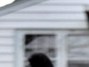 Superstitious Dreaded Symbols Often Part Of The Job Local News Lacrossetribune Com They are often seen as being spooky or scary, which is why they have become a halloween icon. superstitious dreaded symbols often