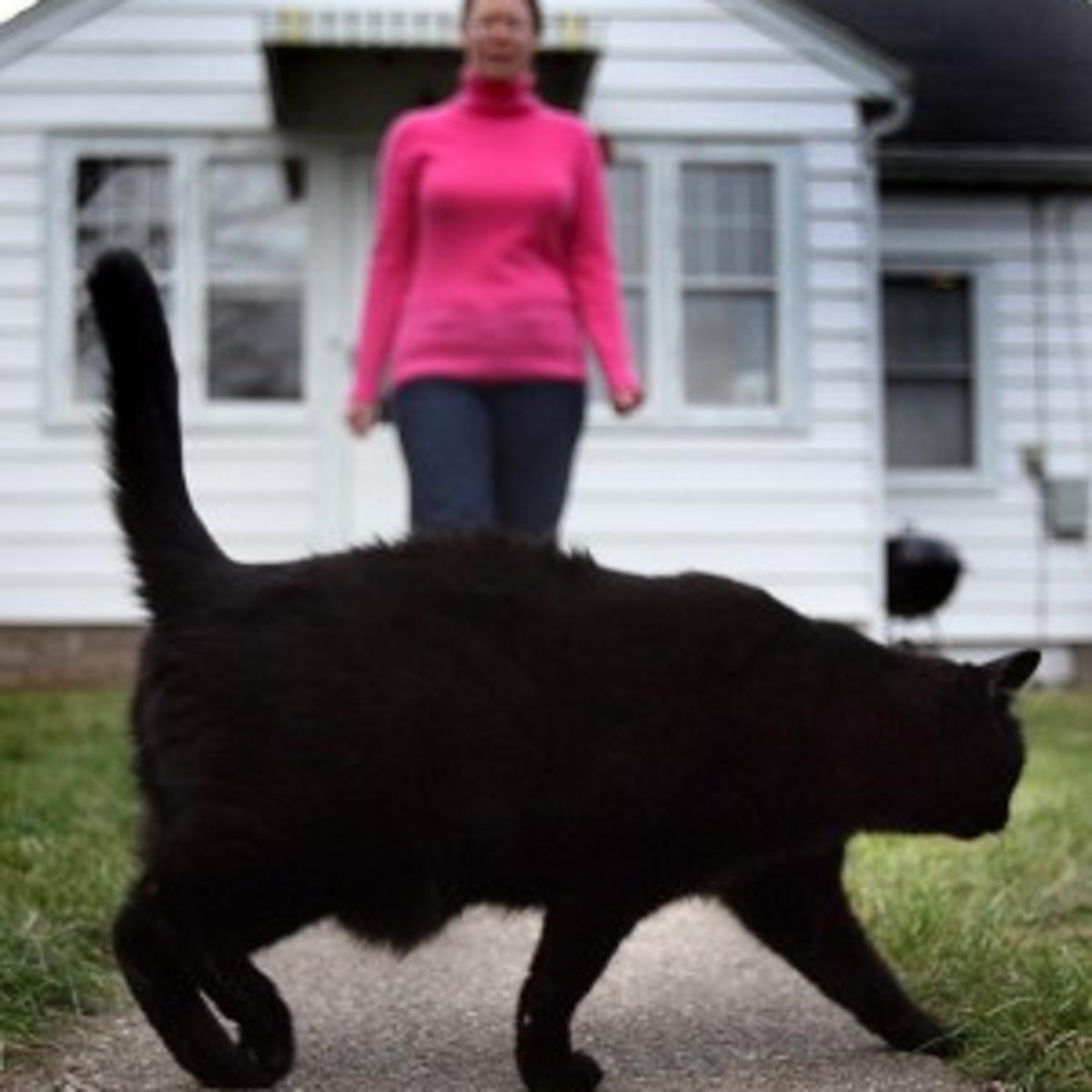 Superstitious Dreaded Symbols Often Part Of The Job Local News Lacrossetribune Com