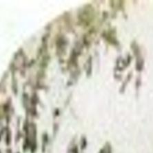 La Crosse Volunteers Paid Heavy Price In Civil War Local News Lacrossetribune Com